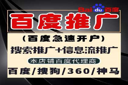 成功运用SEM技术提升网站流量的案例研究